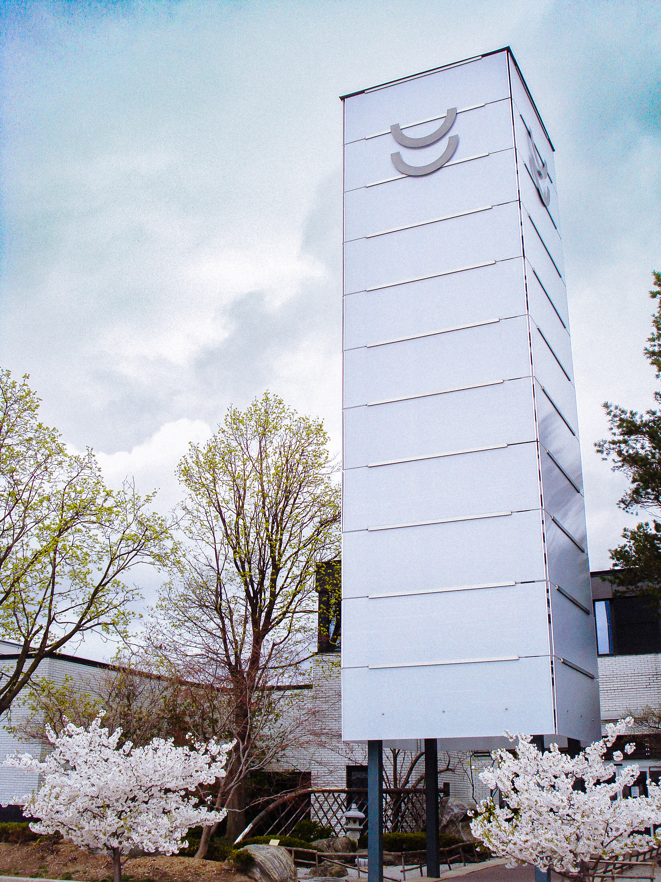 Sakura Blossoms at Ikeda Tower