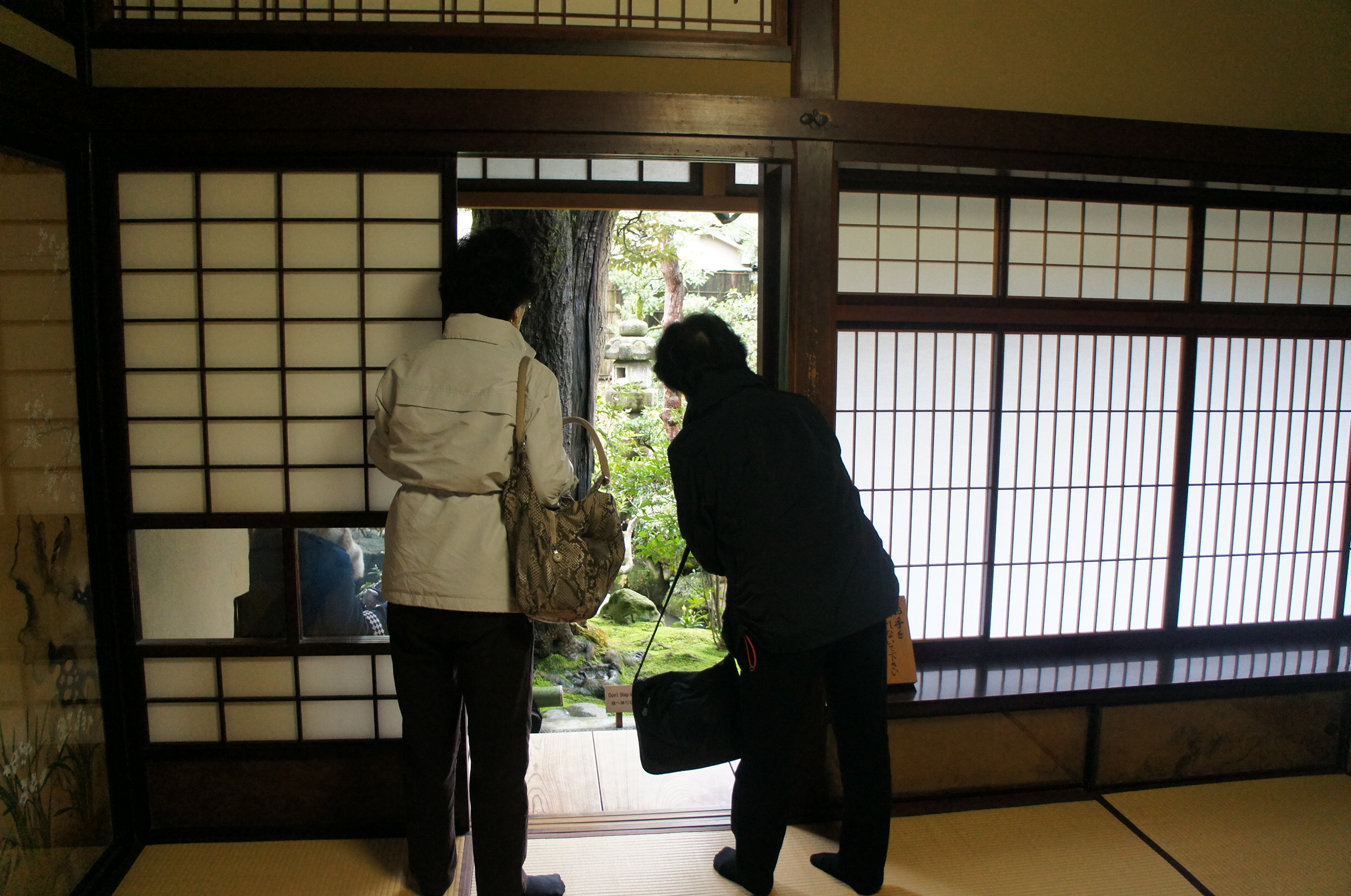 A view from the tea room.