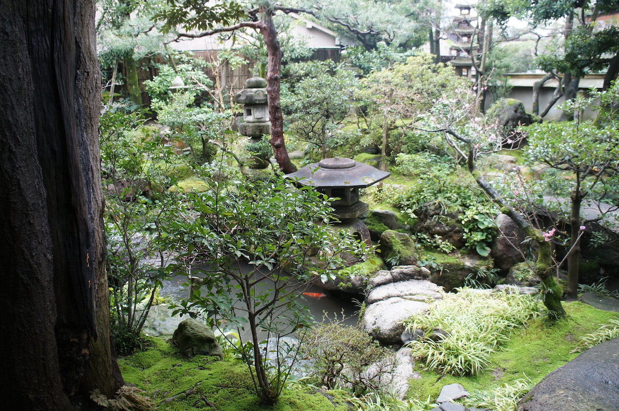 Viewing the garden.