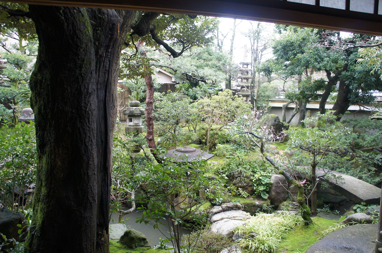 A first view of the garden.