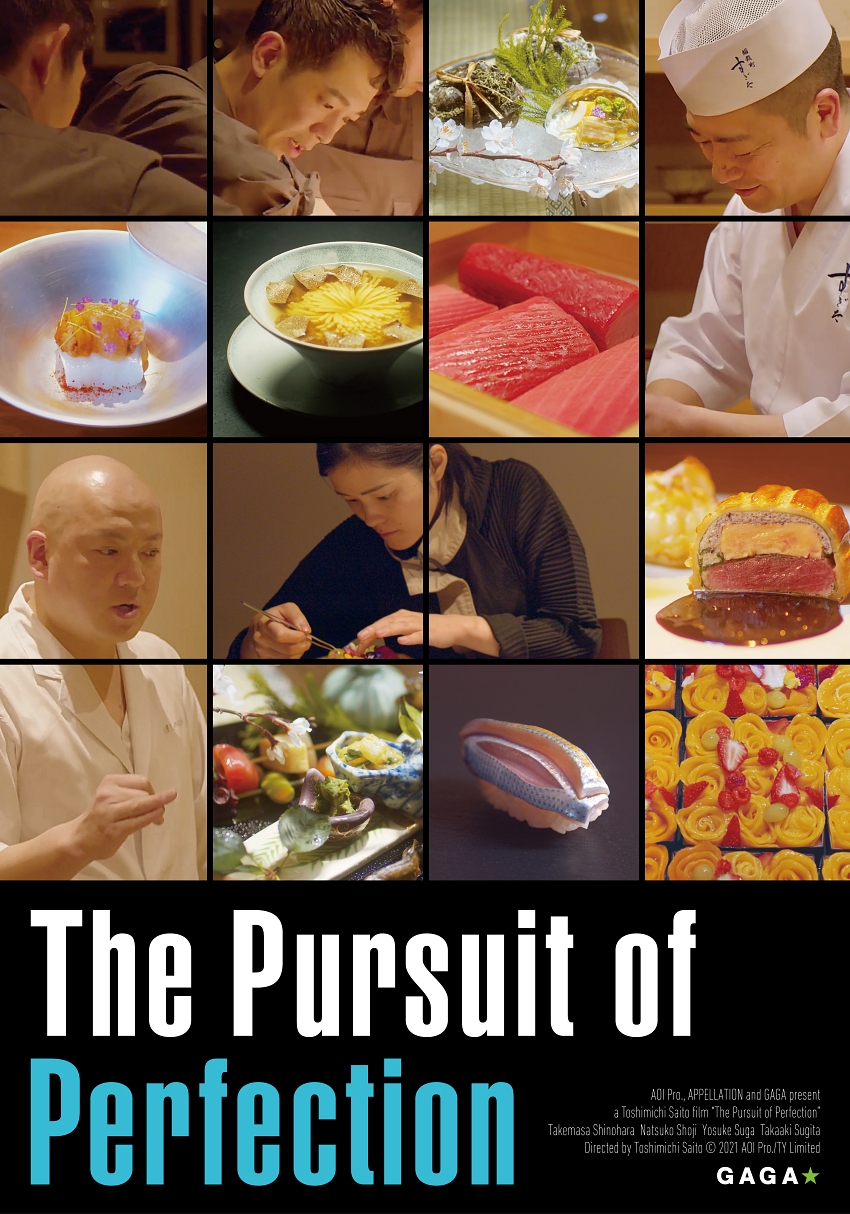 THE PURSUIT OF PERFECTION poster