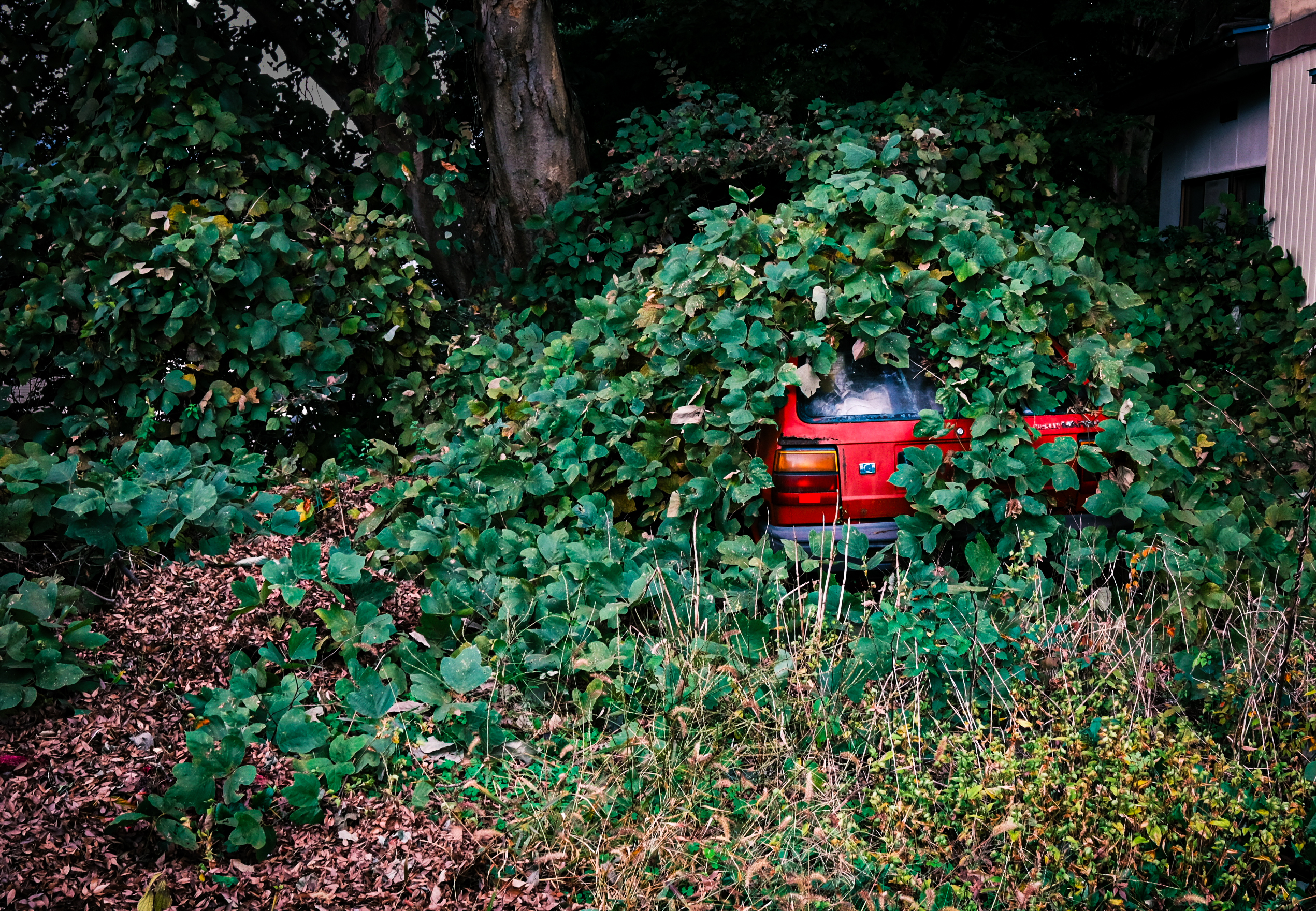 "Abandoned Car - Oishida, Yamagata Ken" - David Bernhard