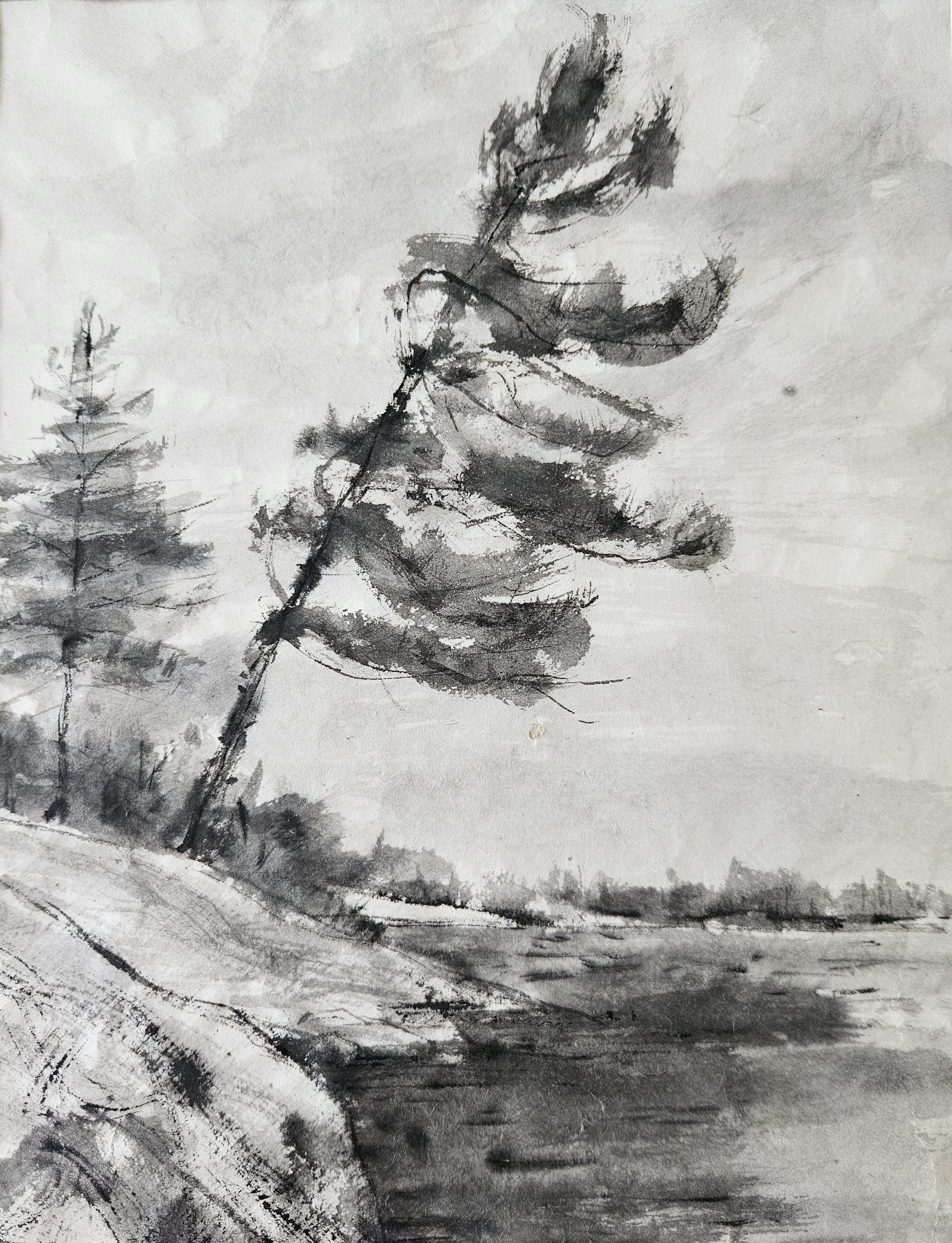 Georgian Bay Pine - Janice Mende Bennink