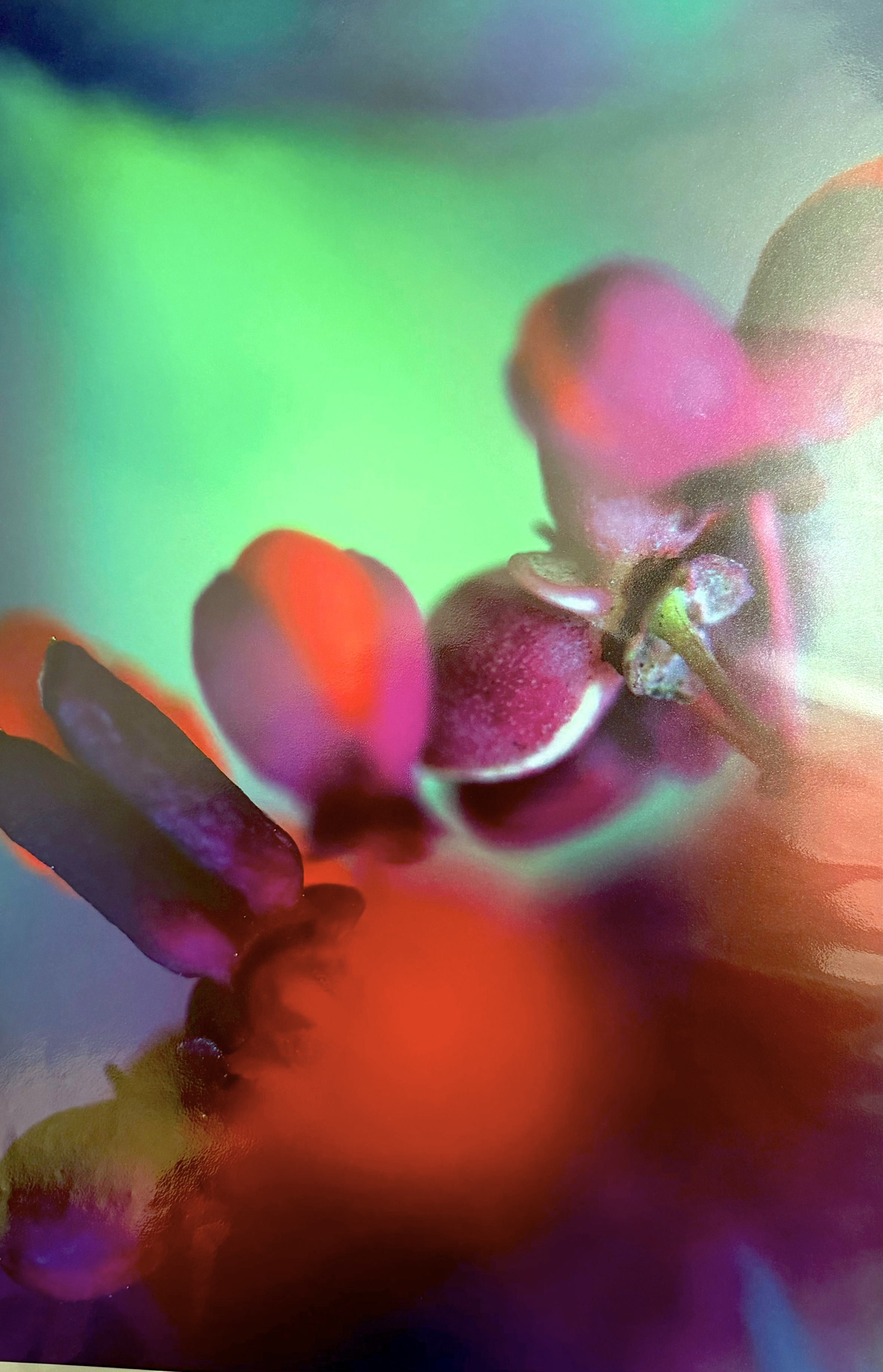 Young Friendship - Marilena Isascescu