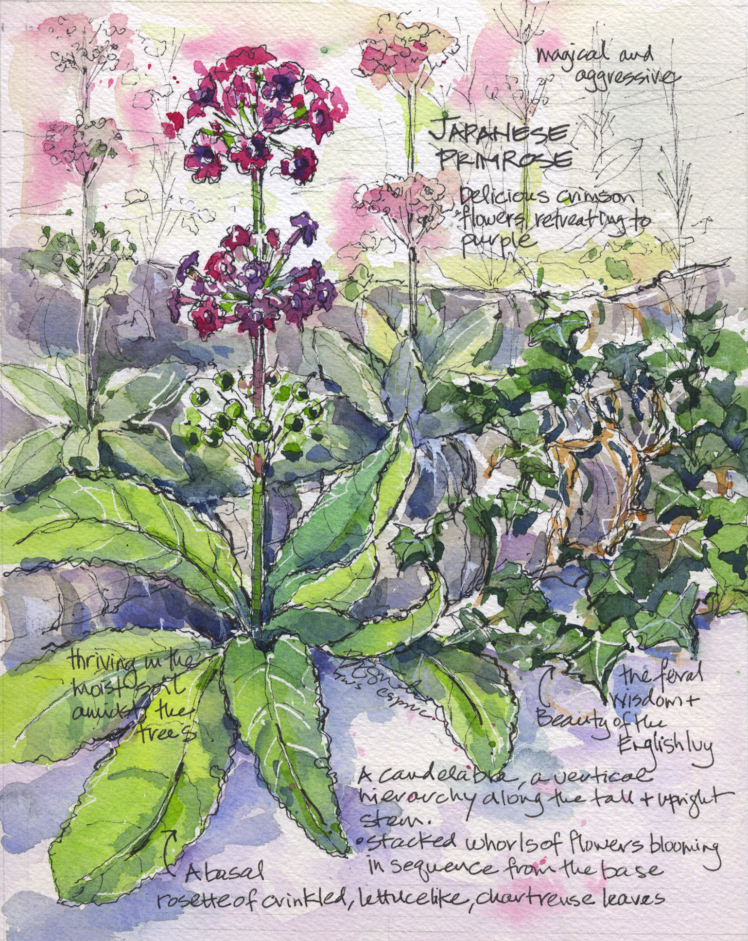 Vignette 'A' - Barbara Eguchi