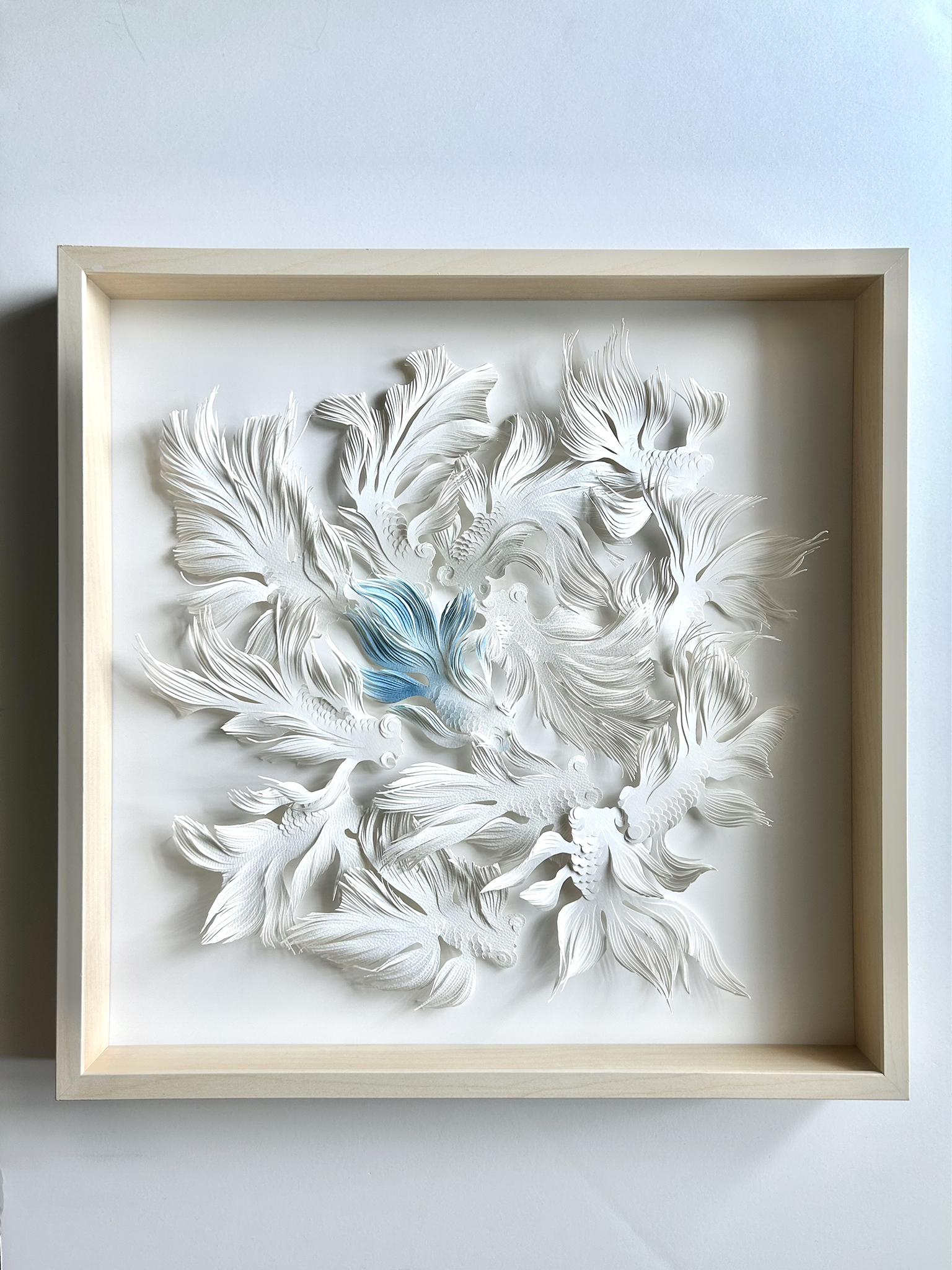 Murmurations - Zhan Zhang