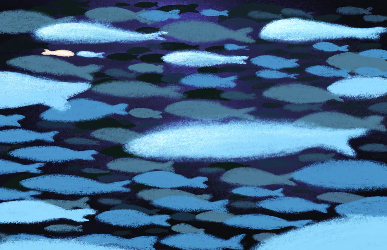 untitled - Weichan Wang