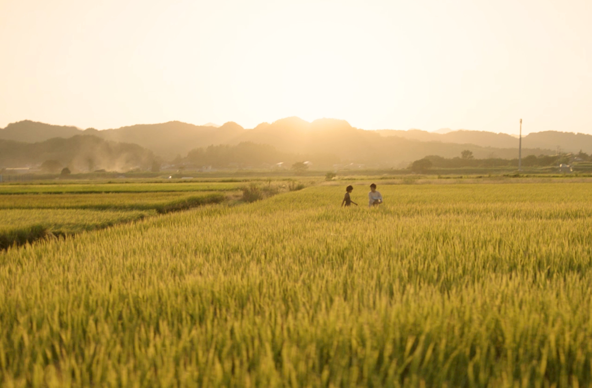 Vicissitude Still Photo 2