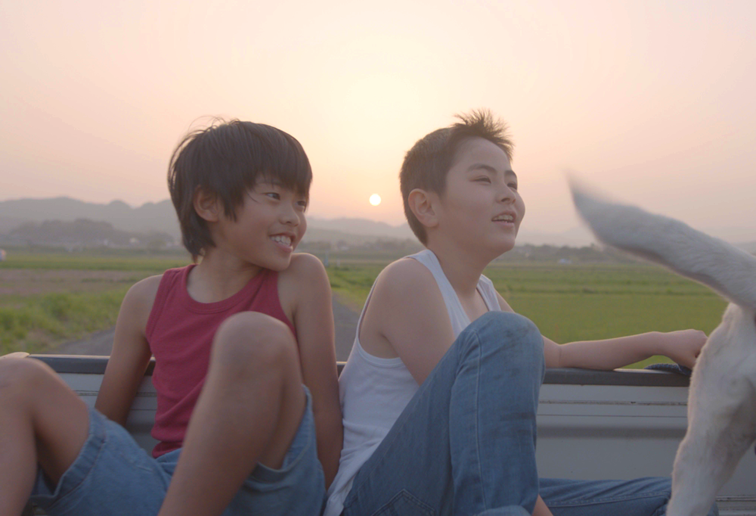 Vicissitude Still Photo 4