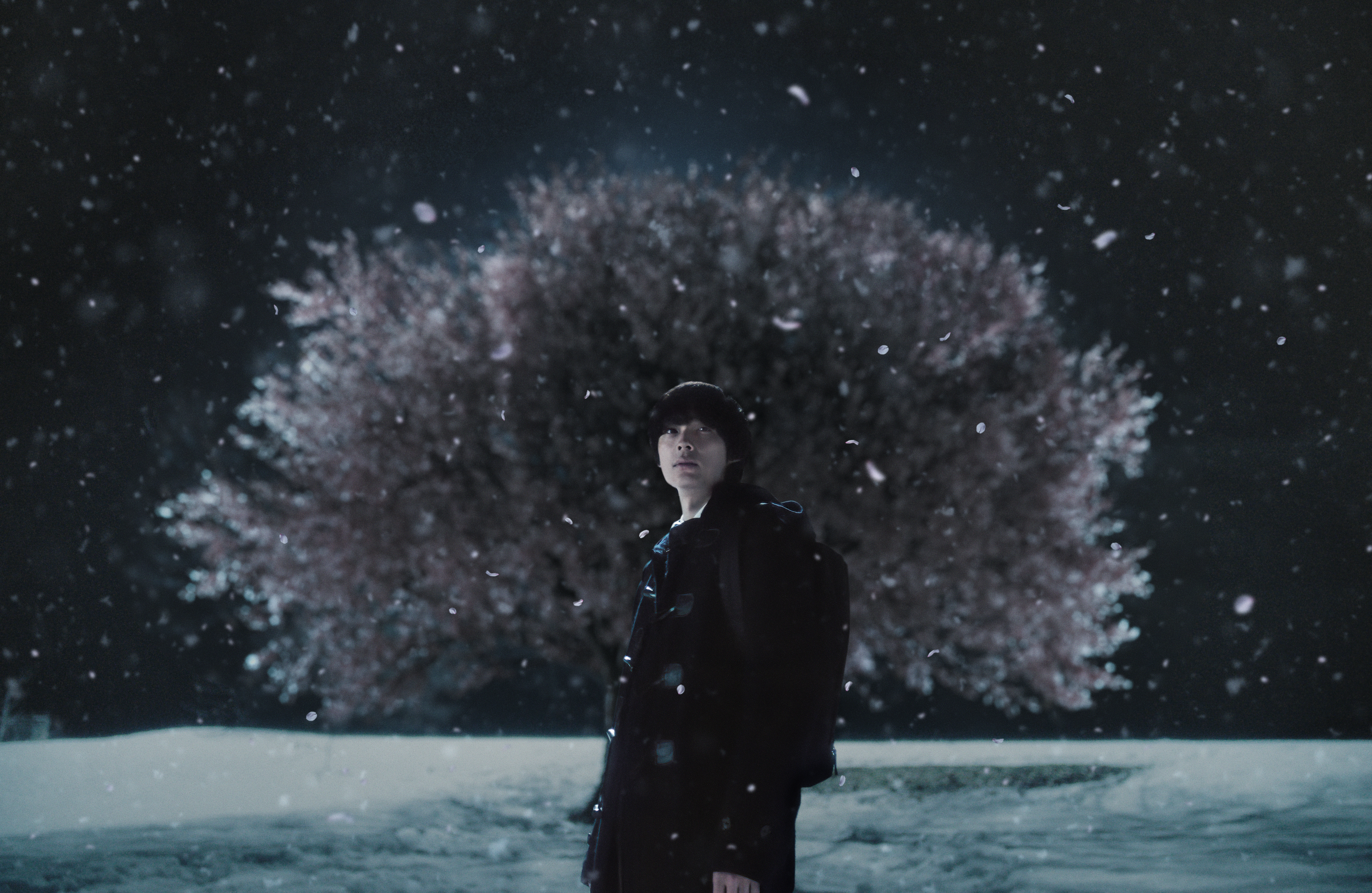 5 CENTIMETERS PER SECOND Still Photo 1