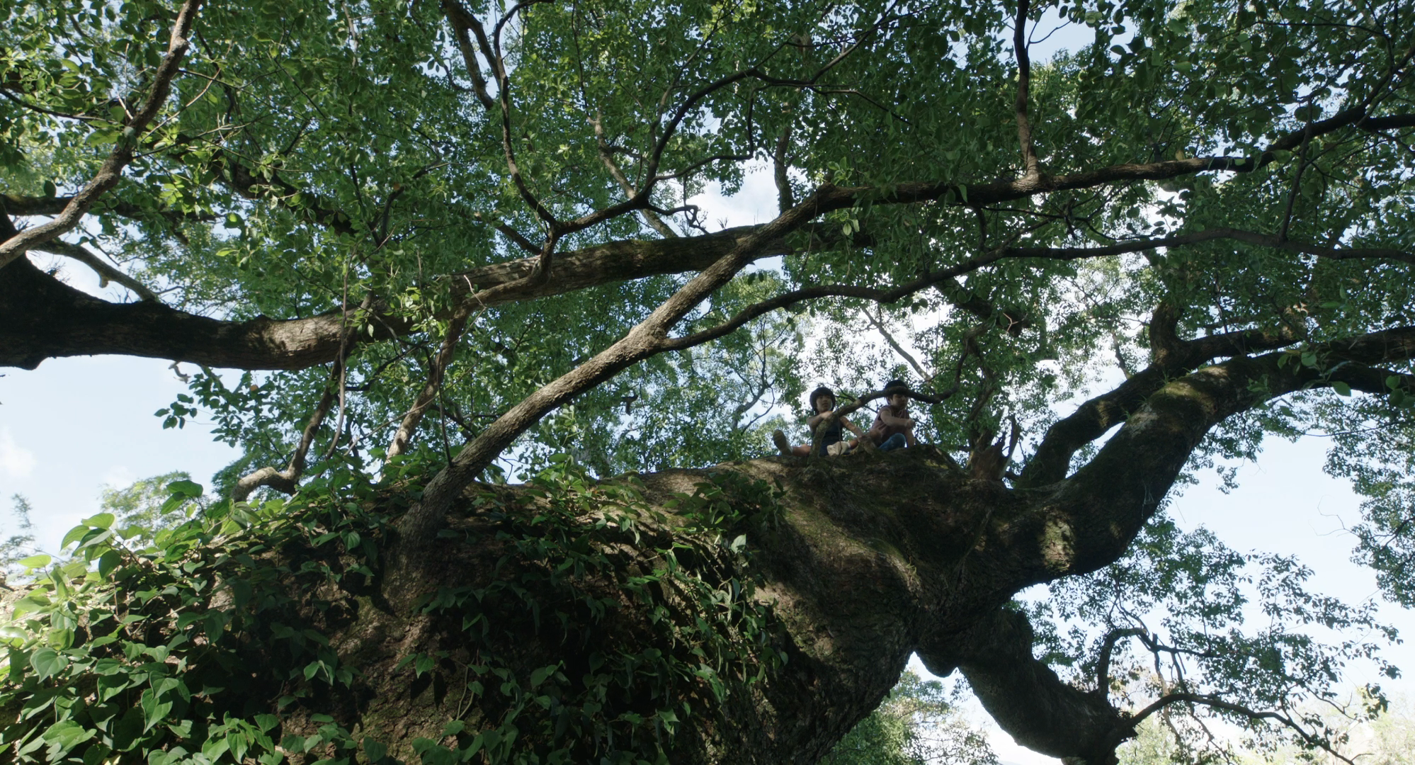 Vicissitude Still Photo 7