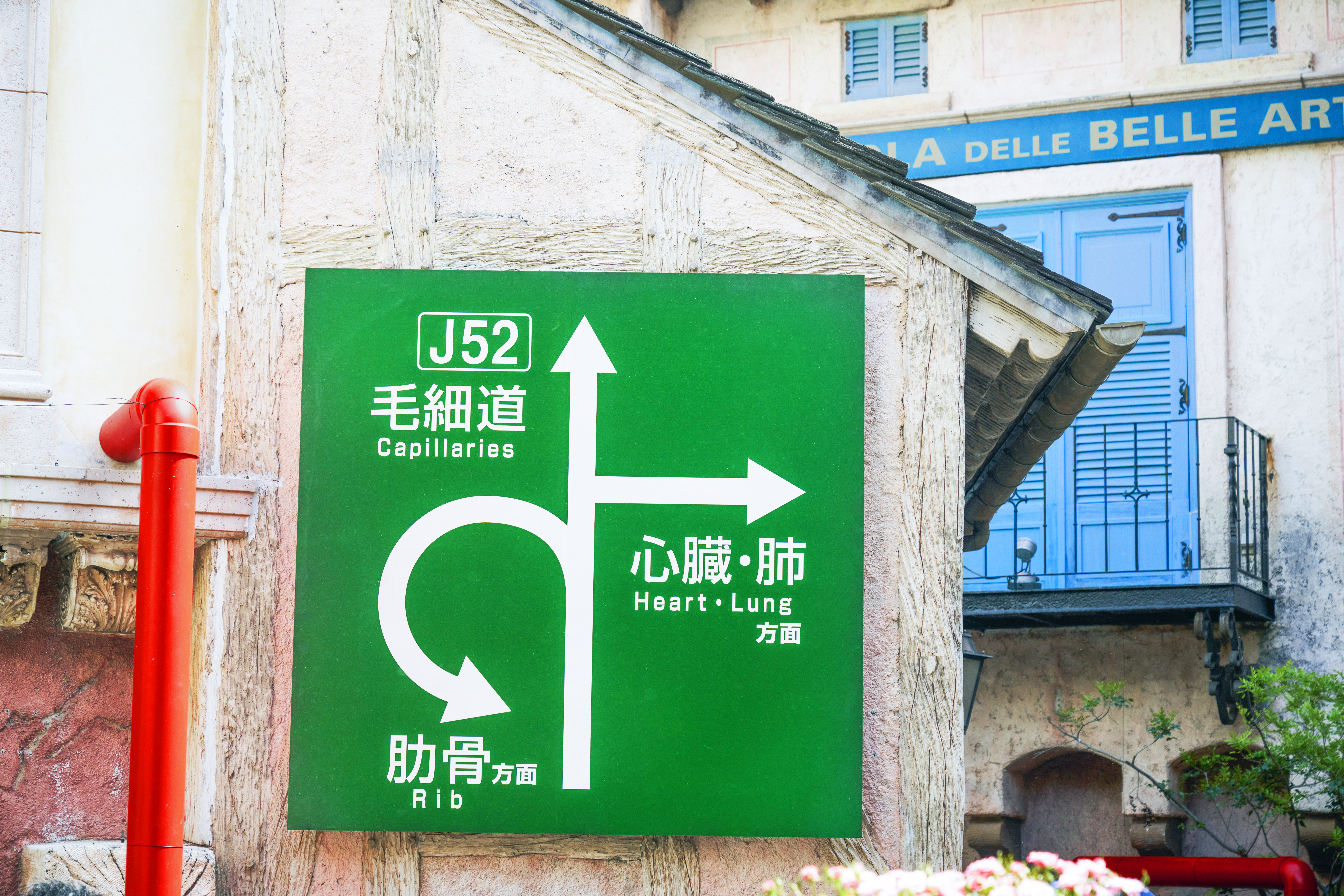 はたらく細胞 | Japanese Canadian Cultural Centre