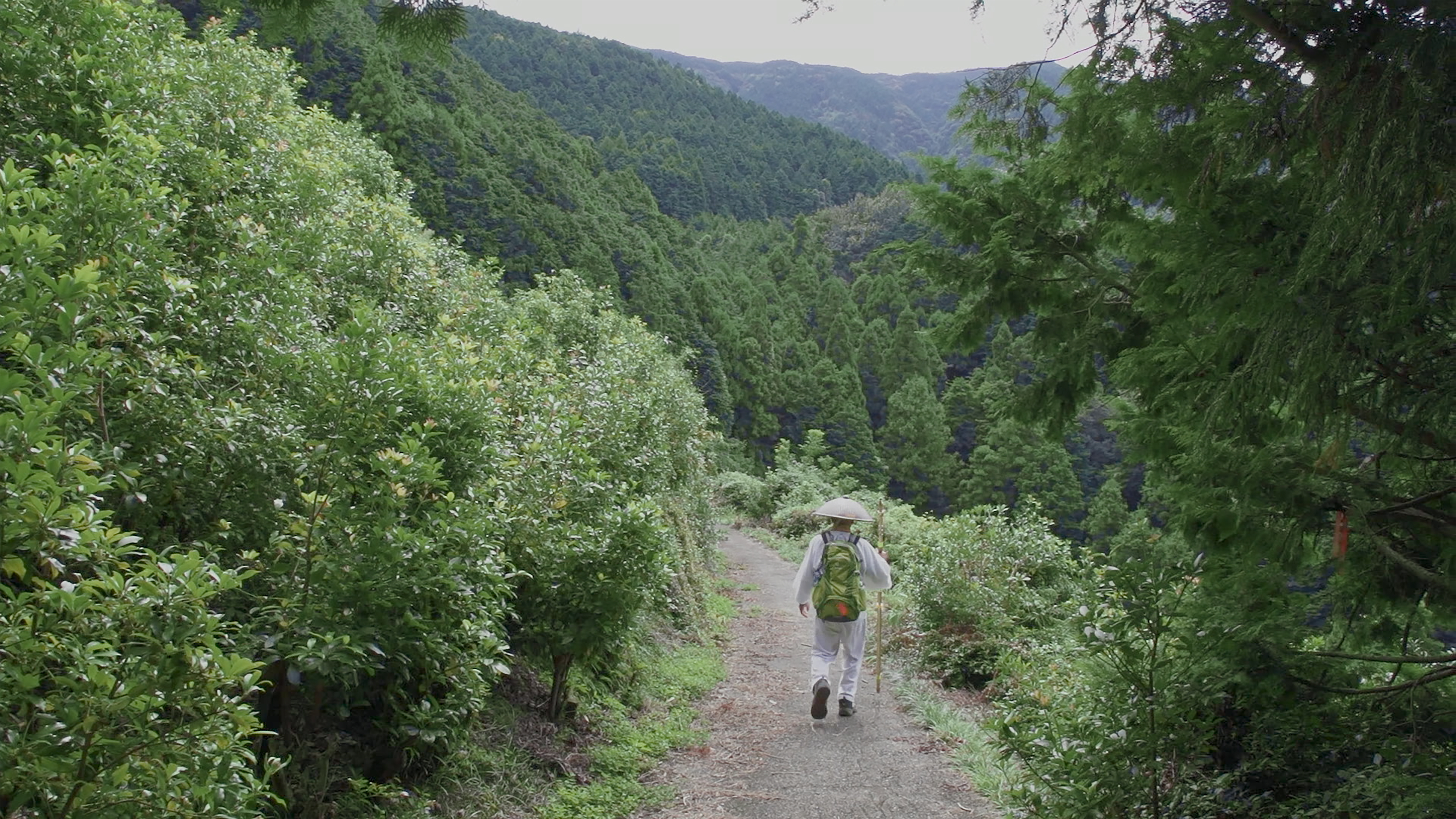 Miyama heading down the mountain path