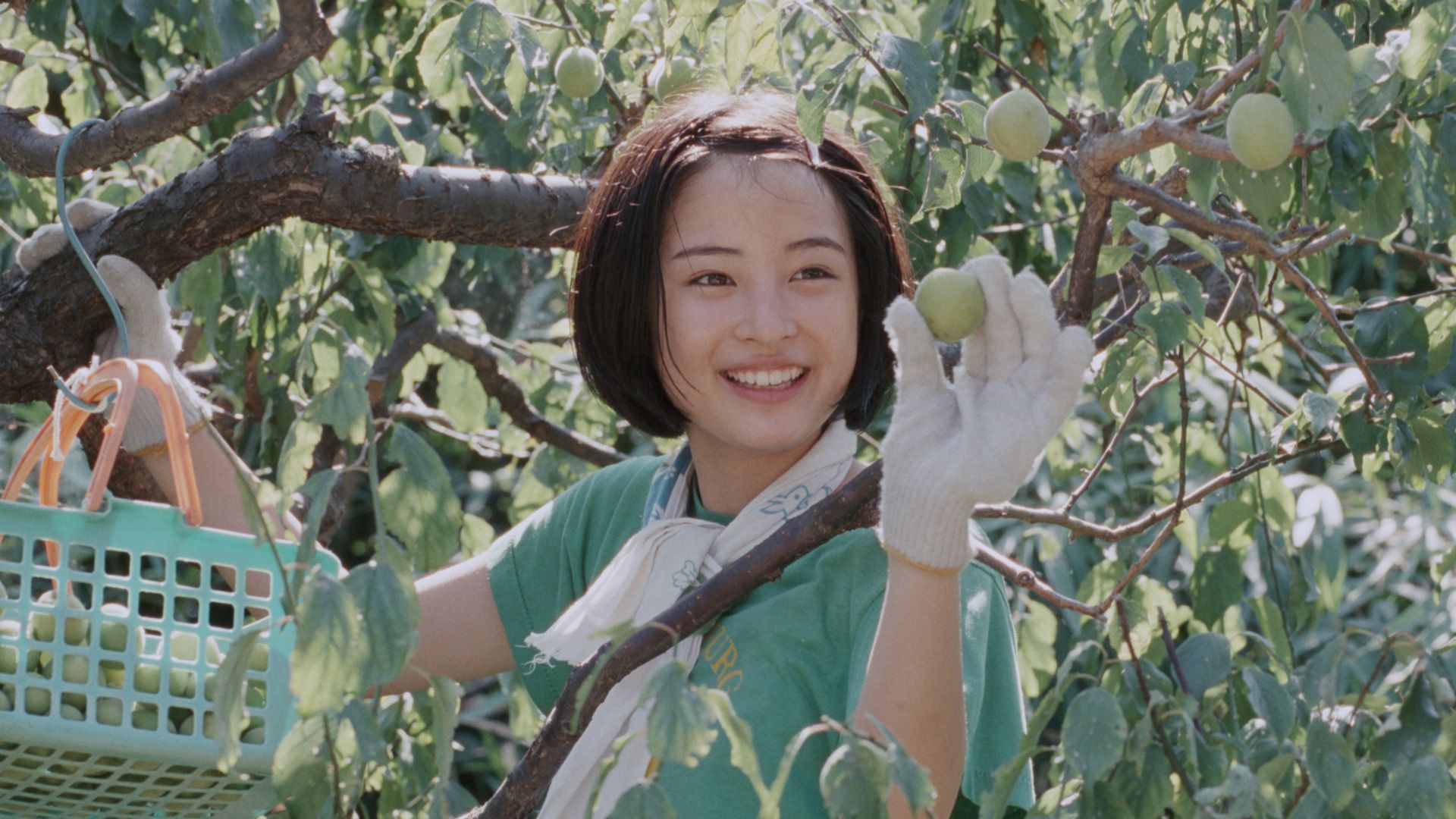 Our Little Sister still 1