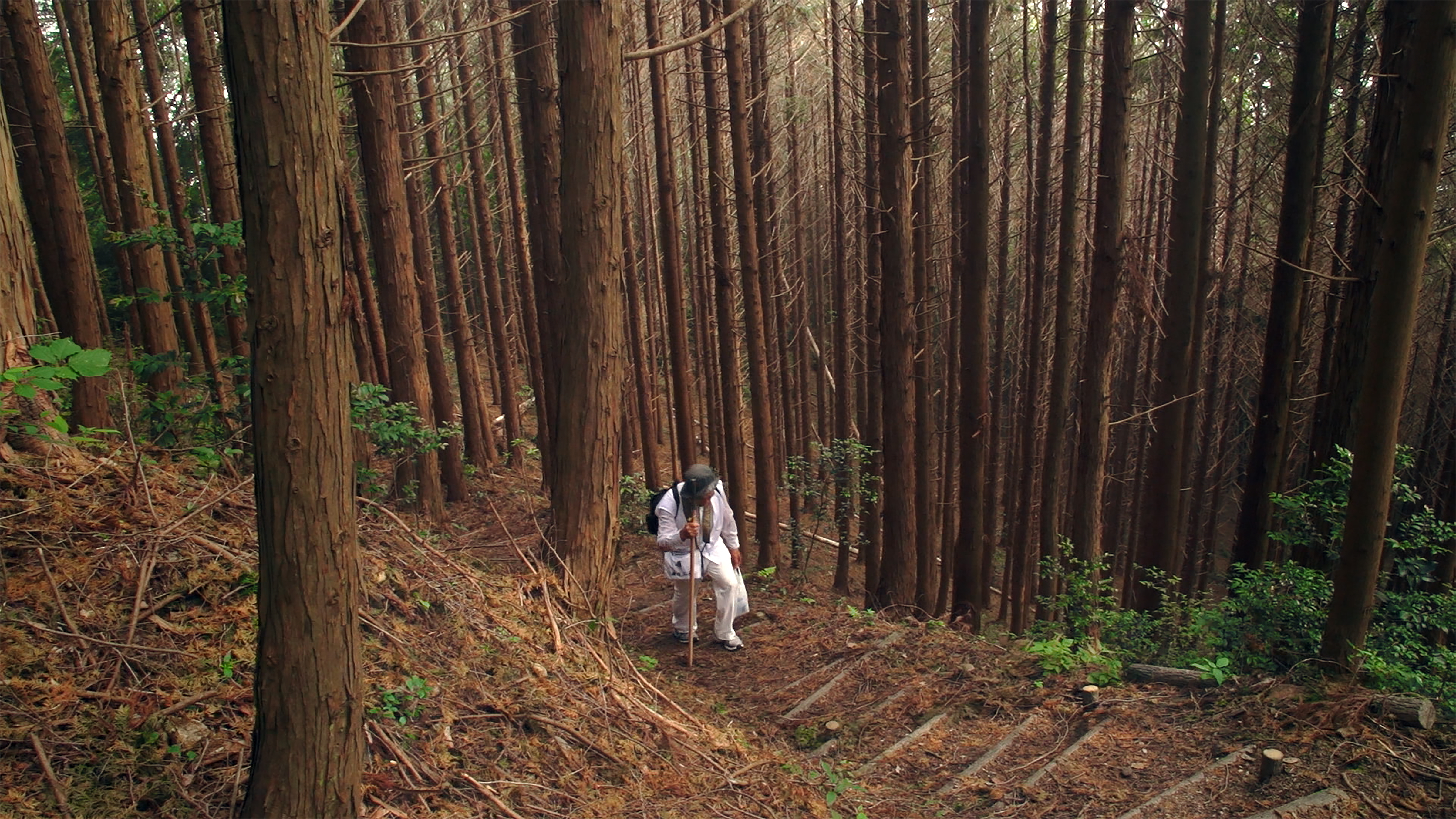 Shirasaka climbing up the path to the 12th temple