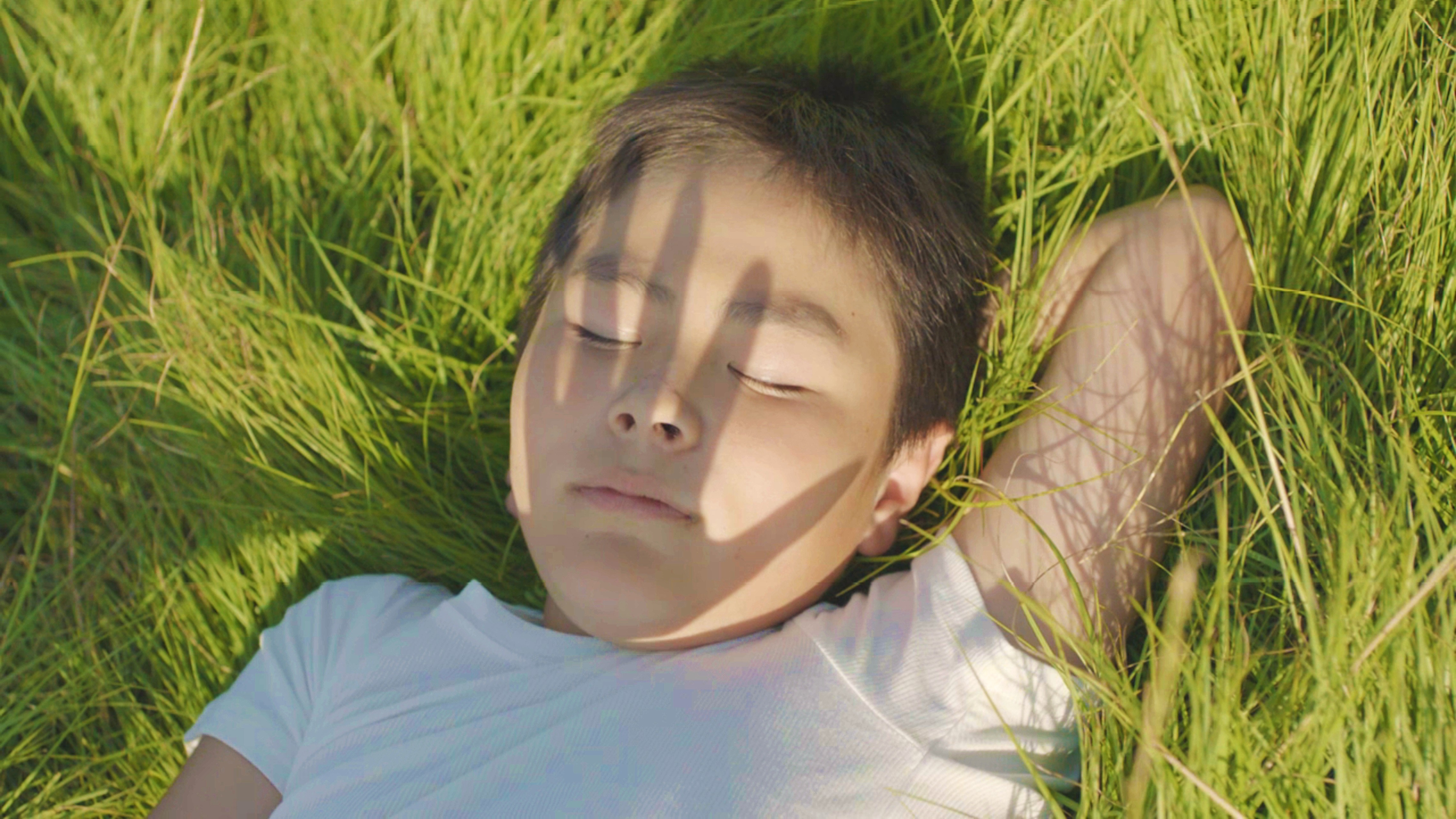 Vicissitude Still Photo 1