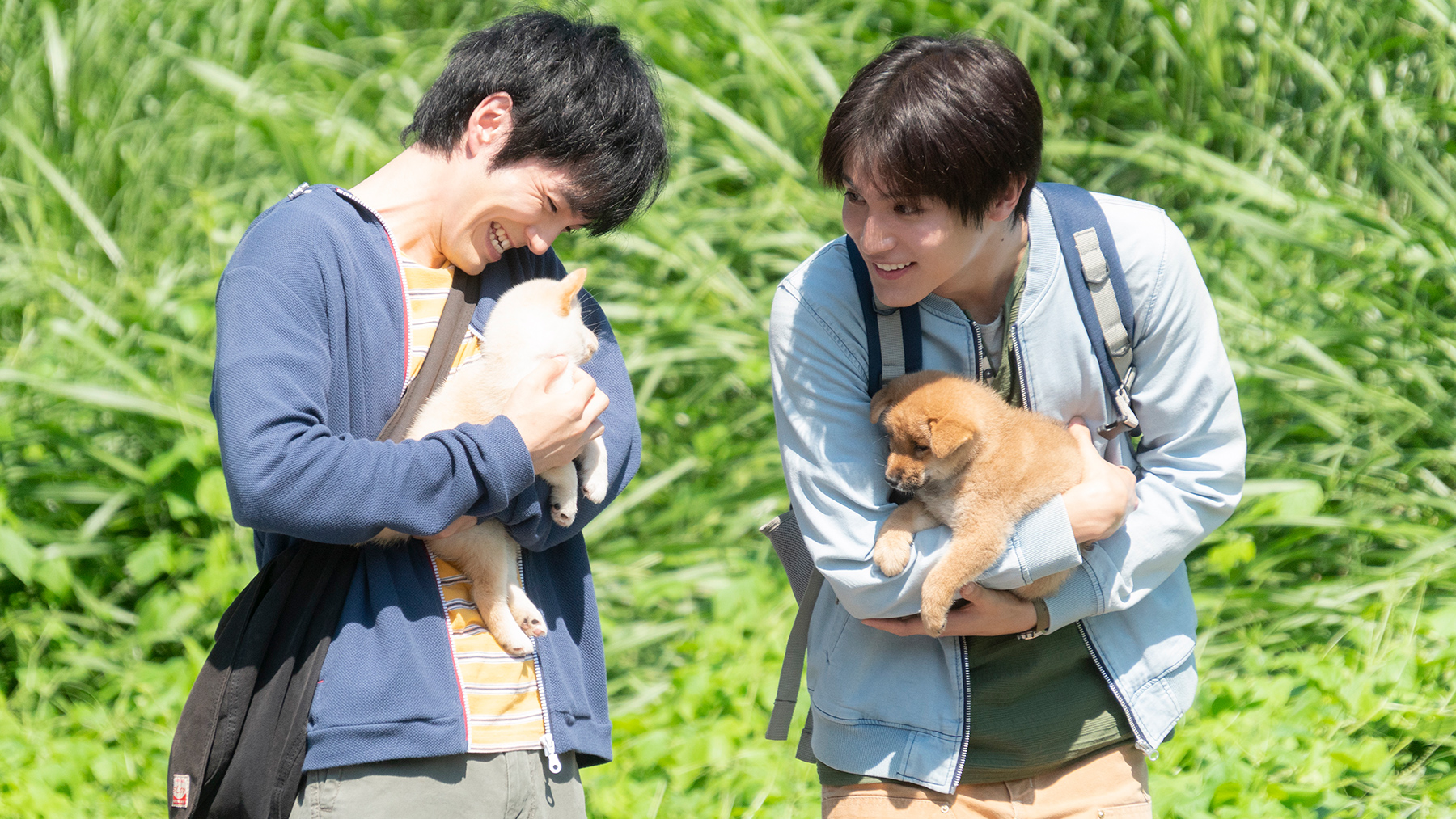 two men holding puppies