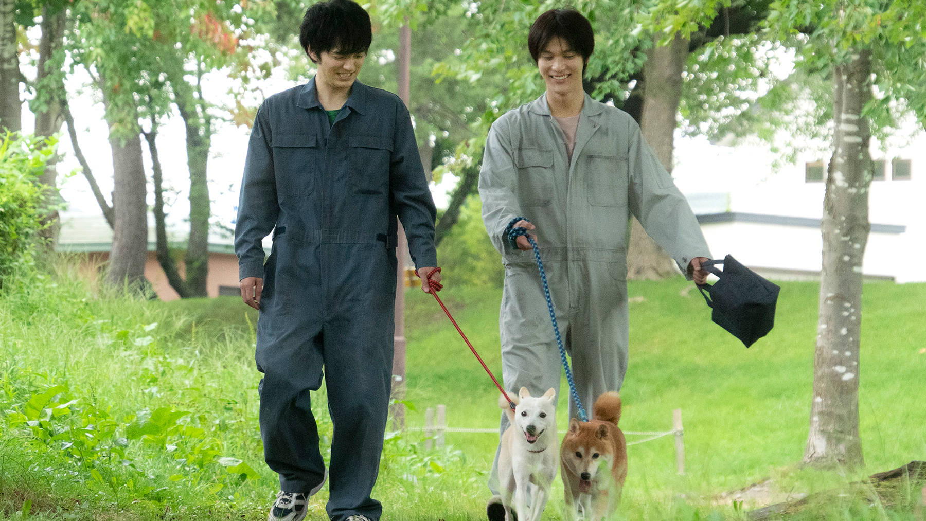 two men walking dogs