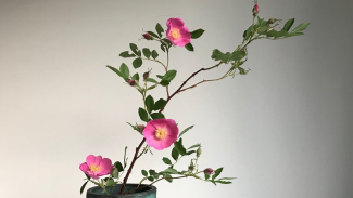 Sogetsu Flower arrangement