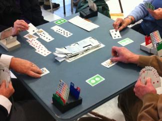 Bridge players