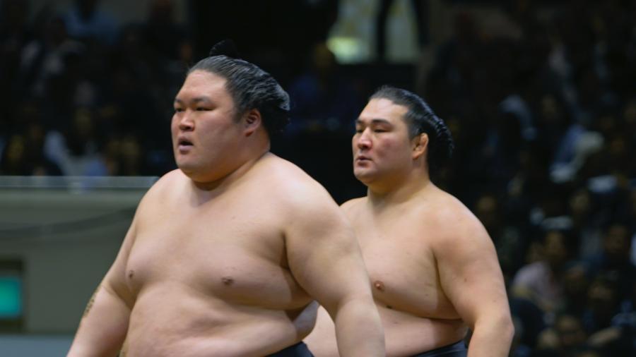 Sumo