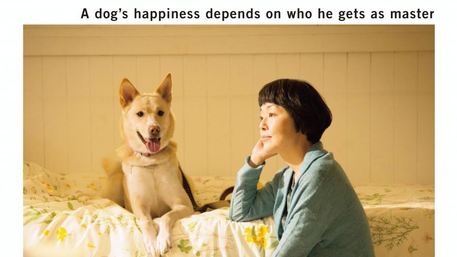 Dogs without names
