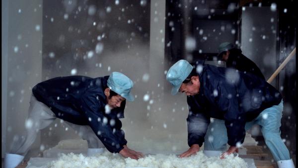 the birth of sake