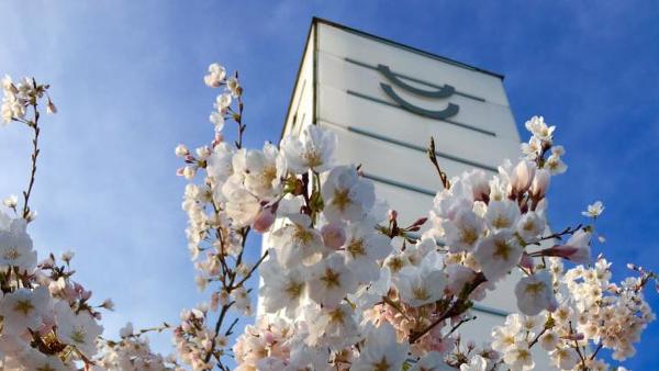 JCCC Ikeda Tower with sakura