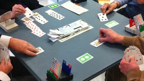Bridge players